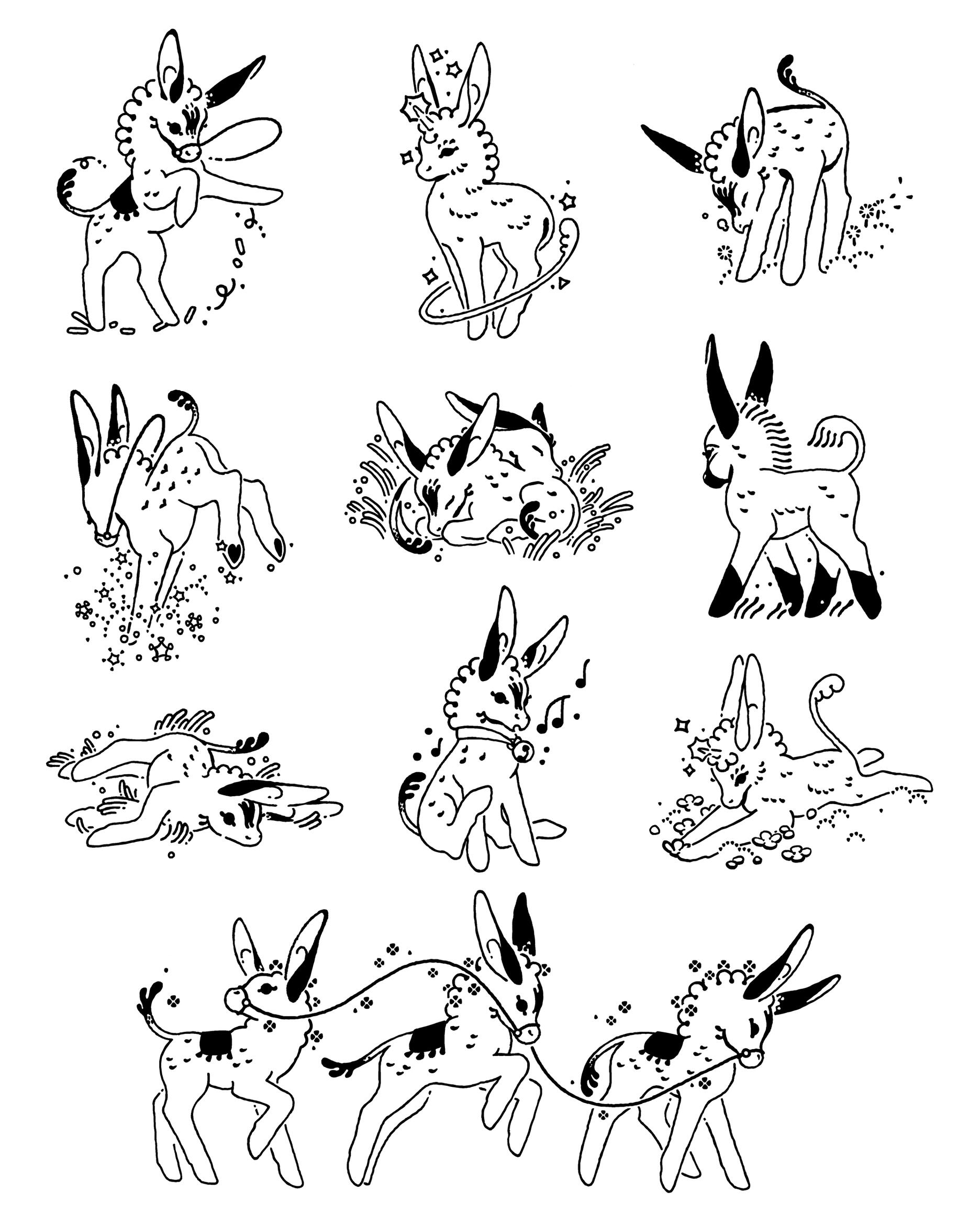 Donkeys Donkeys